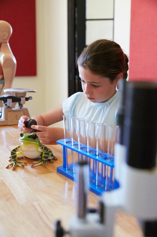 A child setting up test tubes at a classroom bench
