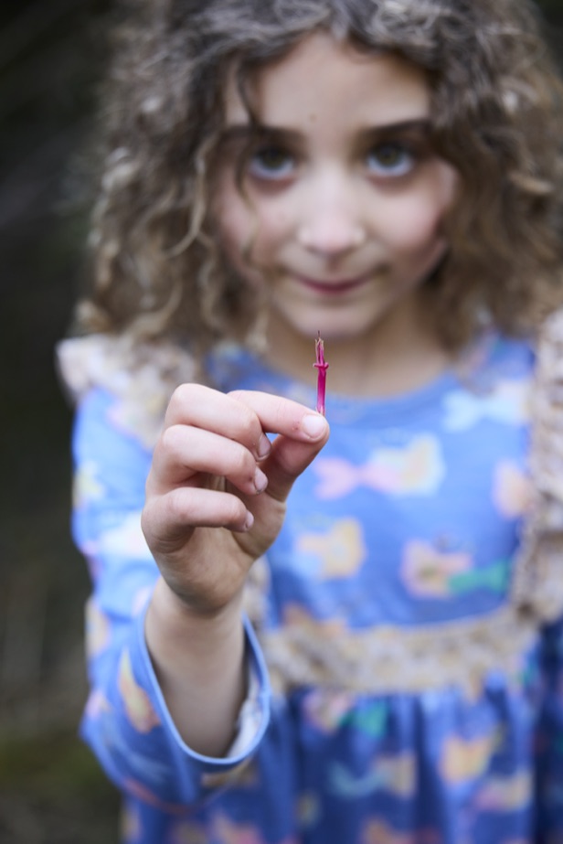 A child holding up a small flower she has found